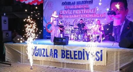 Sanat Festivalleri ve Etkinlikleri