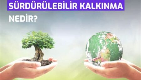 Sanat ve Çevre: Sürdürülebilir Yaklaşımlar